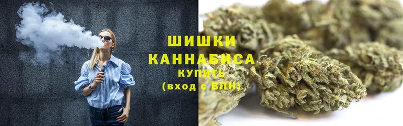 blacksprut как войти  купить наркотик  Дигора  Конопля THC 21% 